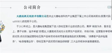 大唐高鸿无线技术 运营商业务领域的战略延伸与价值解析